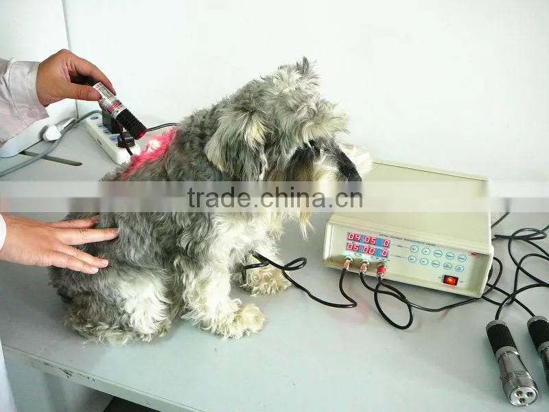 SN-902A Laser veterinary equipment