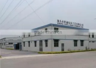 Shantou Strong Trading Company Ltd. company overview - view 3