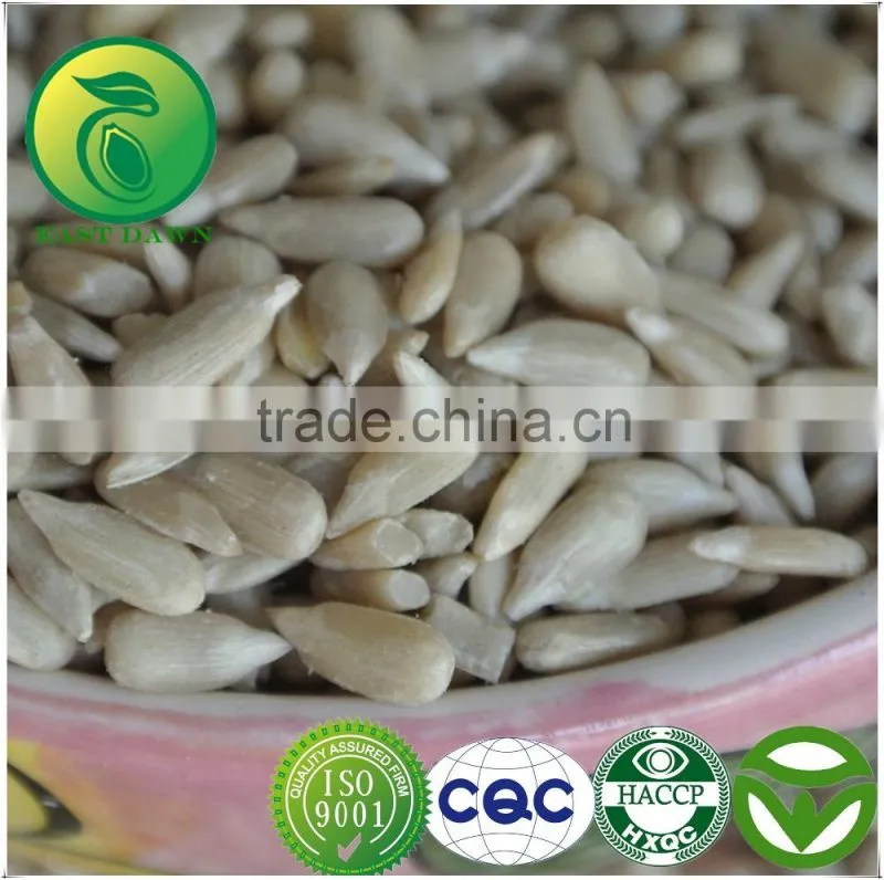 China Sunflower Seeds Bird For Sale