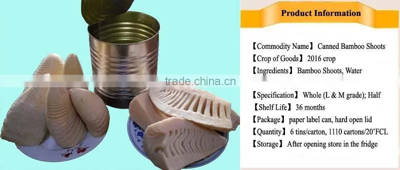 2016 new crop Canned Bamboo Shoot 2950gram