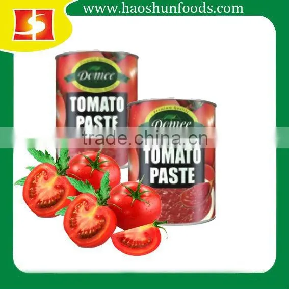 Tomato Paste Canned