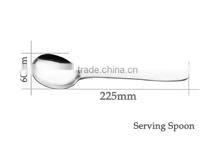 stainless steel serving spoon