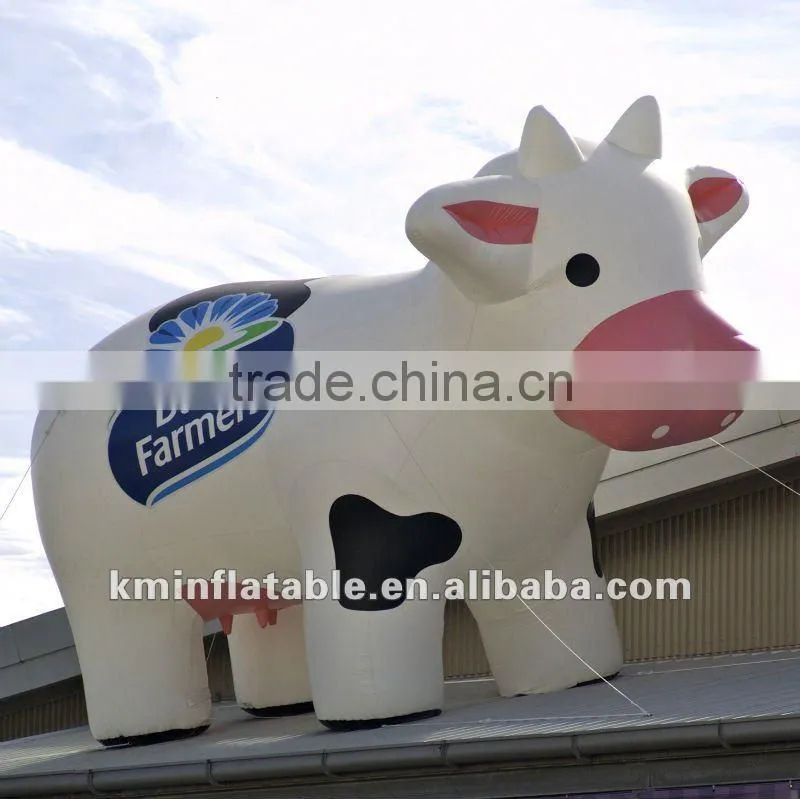 Giant large inflatable milk cow with light in it