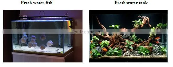 2014 Hot selling! 72inch/6ft led vivid color/thunder storm aquarium light for fresh water fish tank USA fish distributor wanted