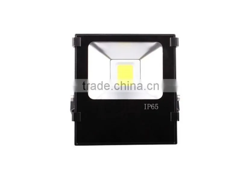 2016 best selling high quality 30w COB led flood light