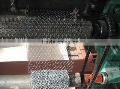 stainless steel hexagonel wire mesh/Hexagonal wire netting/diamond mesh fence