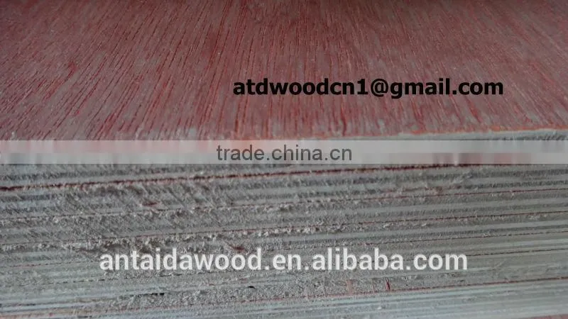 Bintangor overlay plywood from Linyi