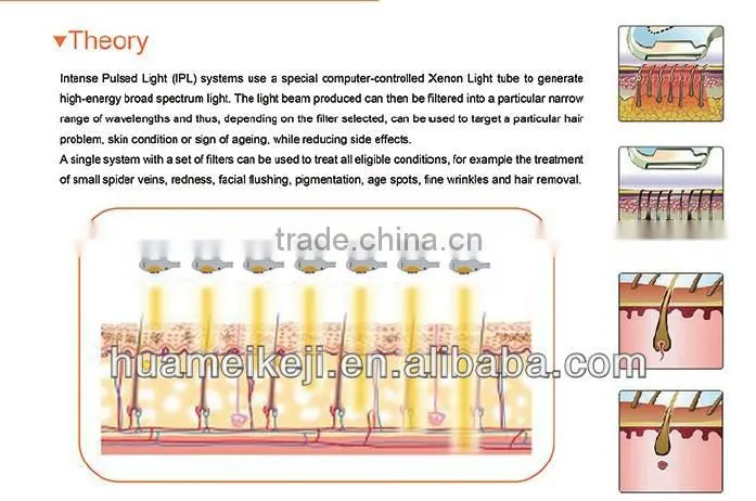 portable ipl system skin care apparatus