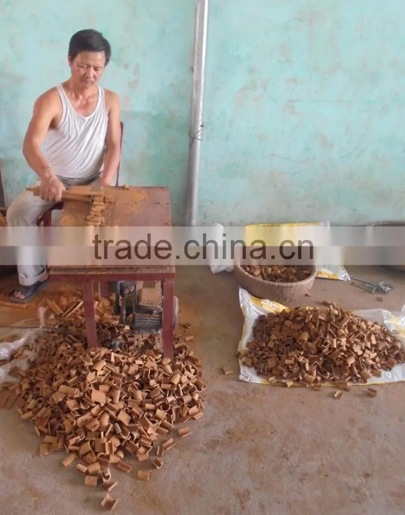VIETNAM SQUARE CUT CASSIA ( YB1, YB2, YB3, YB4 ) (+841657106604 - WhatsApp)