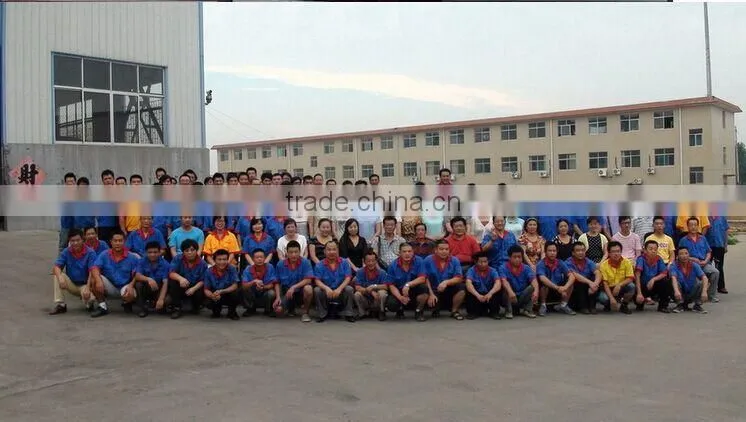 CE certificated 7*4 single axle cargo trailer