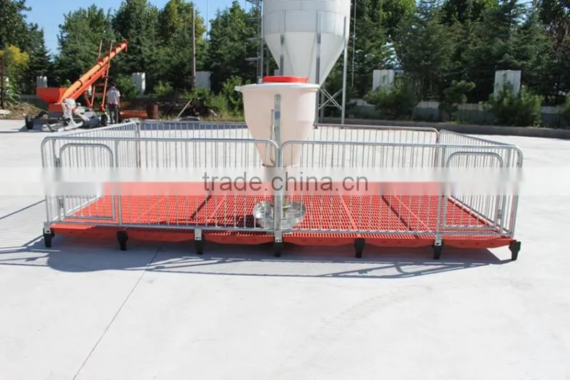 Poultry Feed Processing Equipment Stainless Steel Pigs Stall Nursery Crates