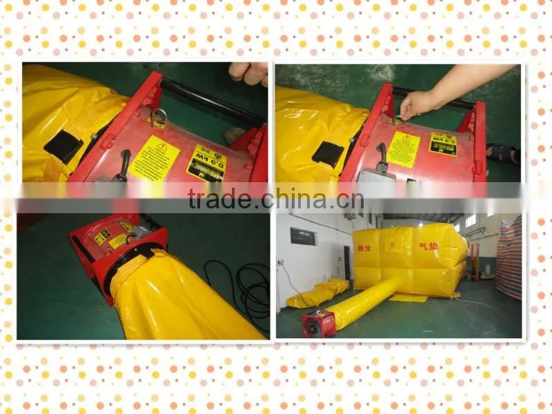 pneumatic cushion