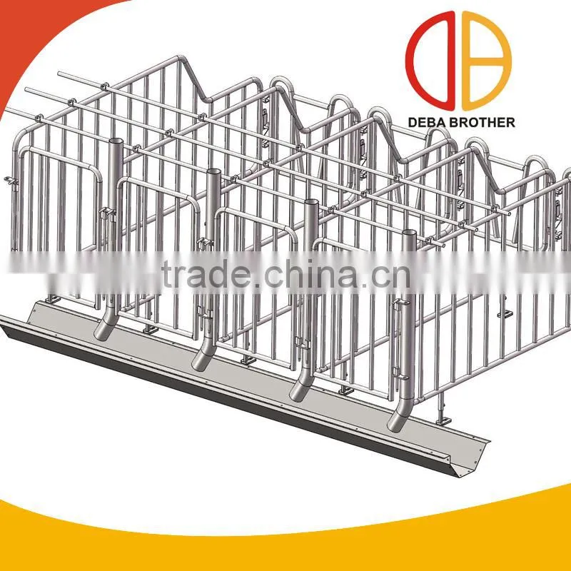 Pig Gestation Stall Good Quality For Pig Stall
