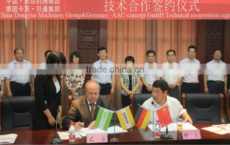 germany technical dongyue brand autoclave aerated concrete blocks production line