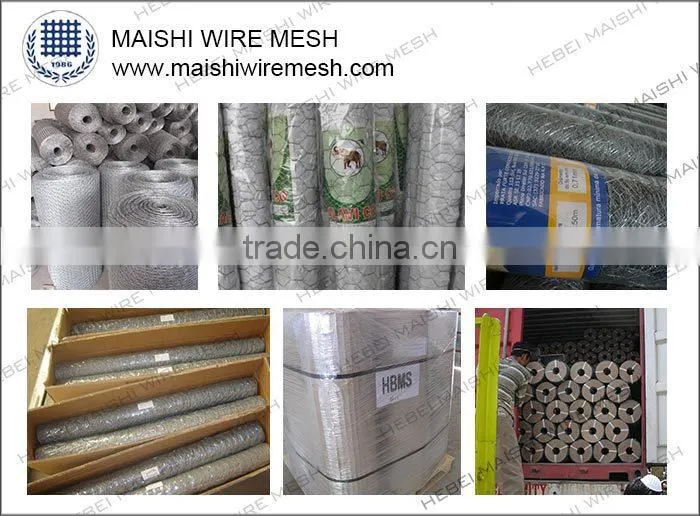 25BWG Hexagonal chicken wire mesh netting for poultry /rabbit fencing