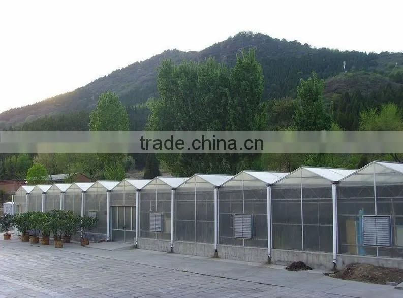 wholesale pc hollow sheet greenhouse