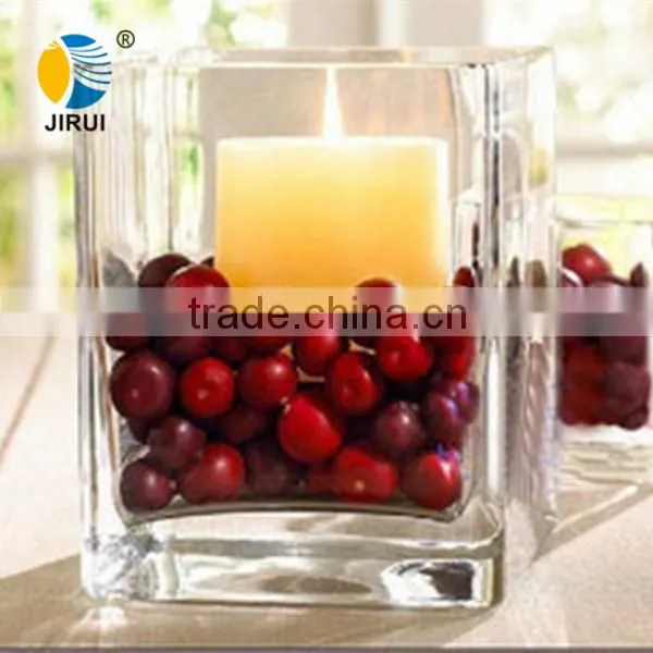 transparent square glass tissue culture vessel jar with plant