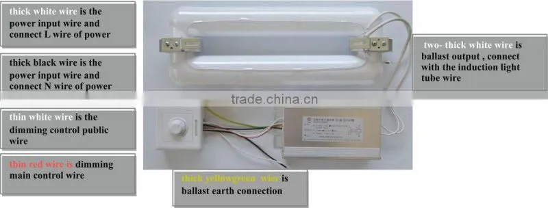 dimmer induction lamp