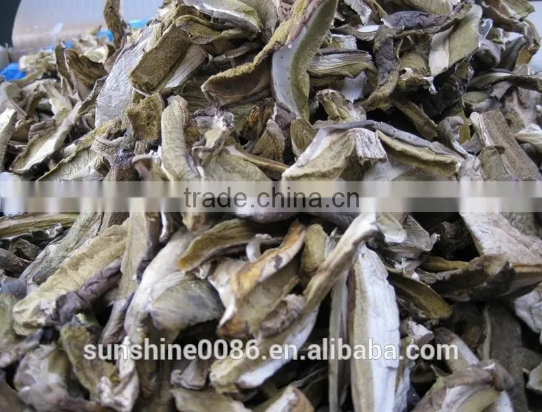Dried boletus mushroom