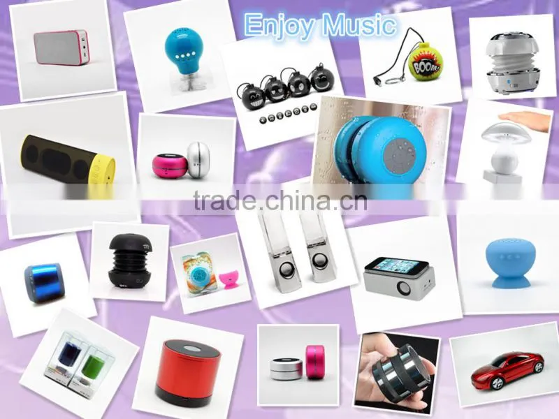 bluetooth speaker with fm radio ( NT-BTS19)