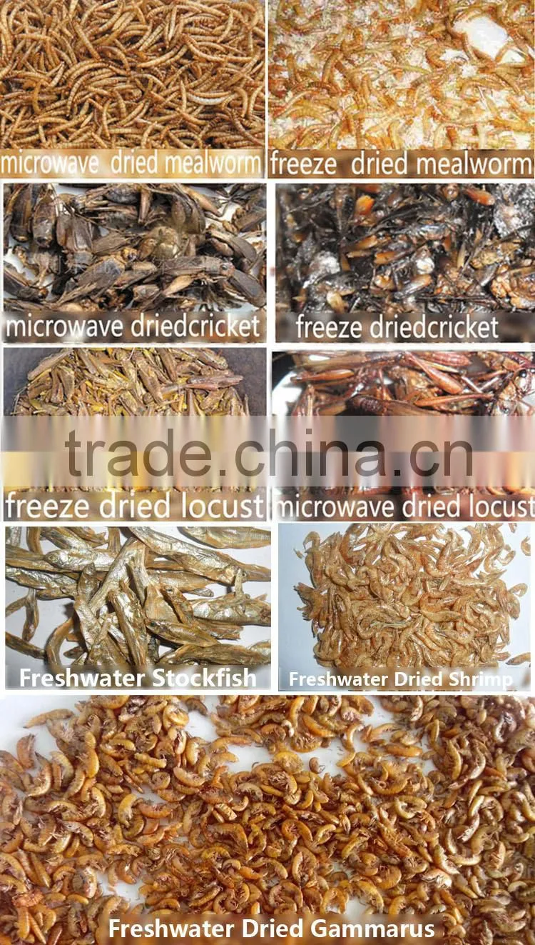 Nutrient pet food dried shrimp for sale
