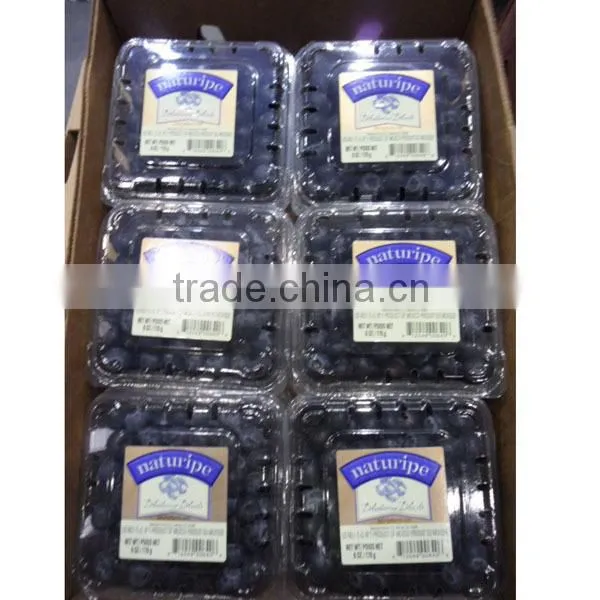 blackberry packaging box