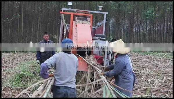 New condition brand product 6BCT-5 sugarcane leaf machine sugarcane peeling machine