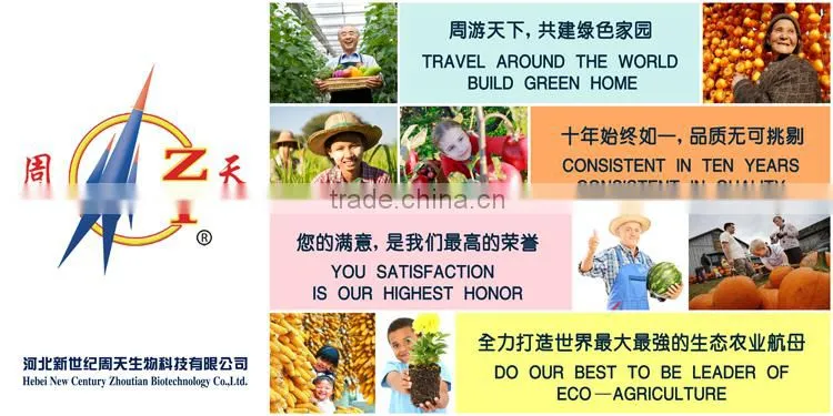 organic big peanut seed for increase corp yield