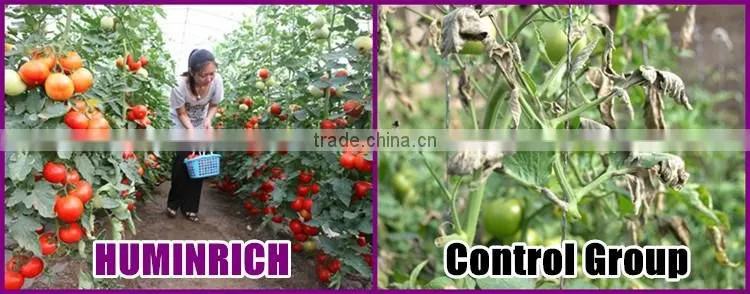 FAQ 39--What Kind Of Organic Fertilizer Can Be Used As Tomato Fertilizer?