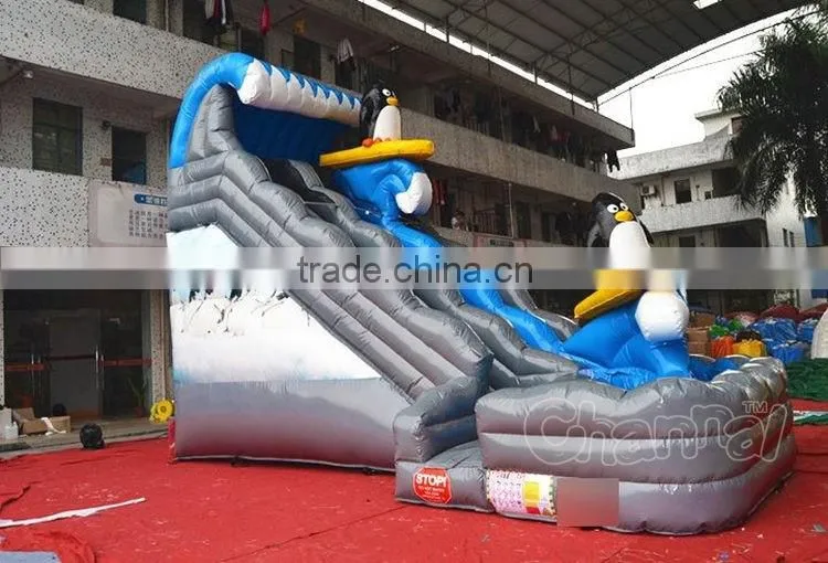 Magical sea wave inflatable water slide wih pool, commercial inflatable dolphin water slide