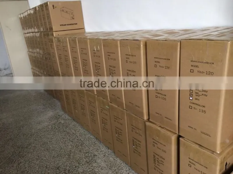 wholesale bath steam generator