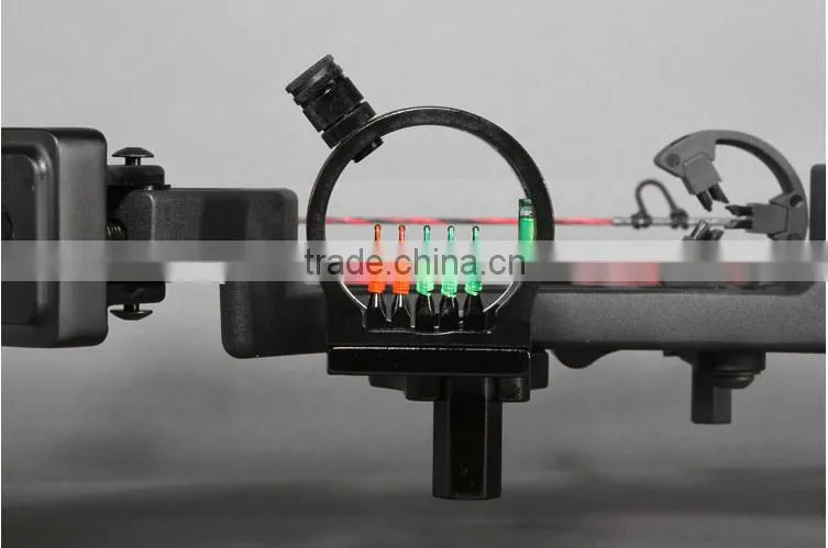 China Archery Compound Bow 195 for Hunting and Shooting