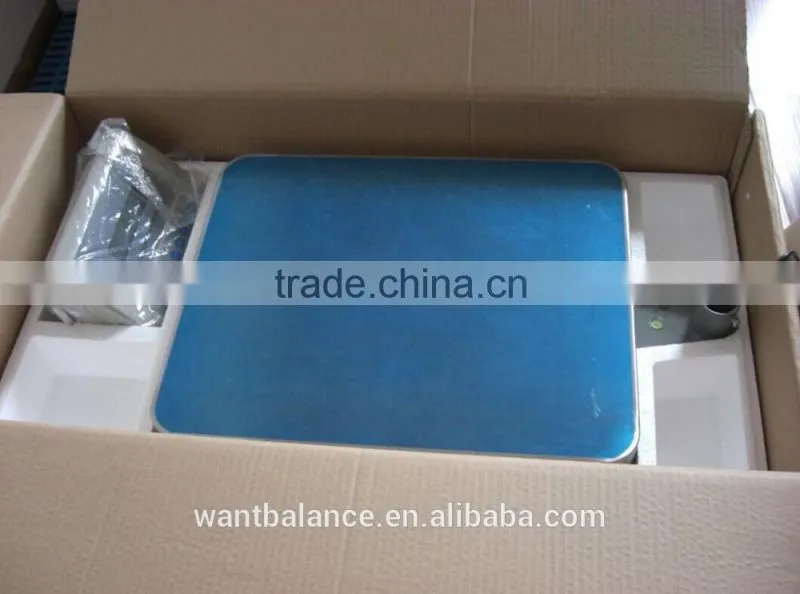 300kg scale model