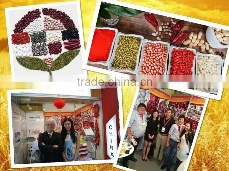 2016 crop Pumpkin Seeds Kernels A, AA grade, GWS Kernels