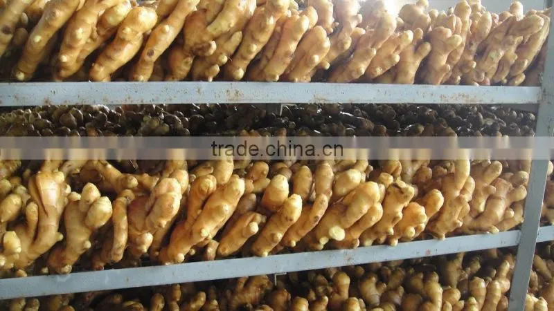 good quality fresh ginger