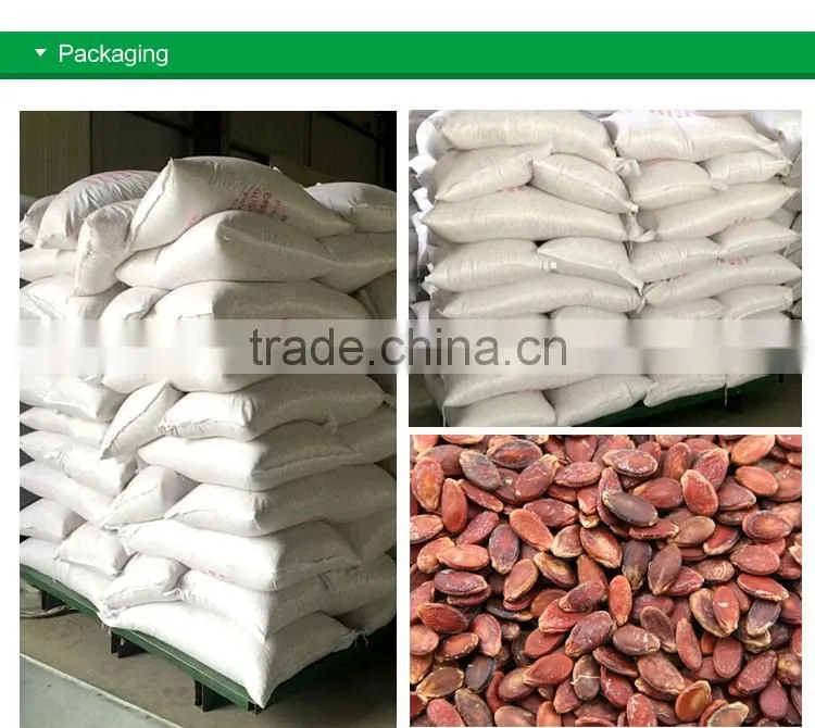 sell cheap natural style melon seeds with different size