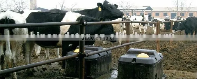 Automatic Temperature Cattle Water Bowl
