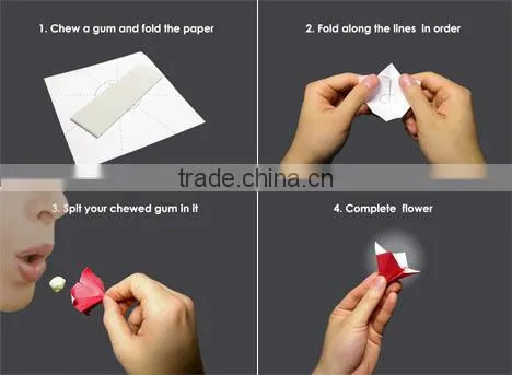 Bulk Sport different taste Chewing Gum supplement