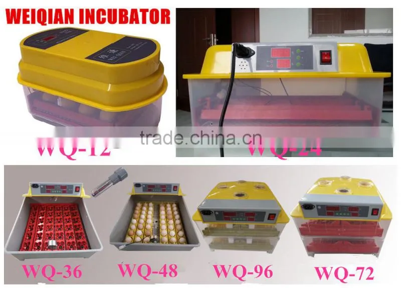 best price mini egg incubator for family used mini egg incubator 144 eggs on sale