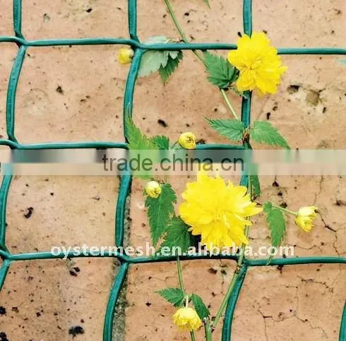 Climbing Plant Support
