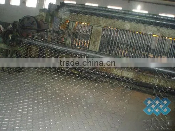 pvc coated/galvanized hexagonal wire mesh