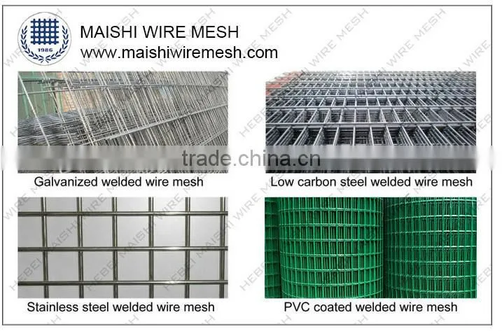 Stainless Steel Wire Mesh/304 Stainless Steel Wire Mesh/Stainless Steel Welded Wire Mesh Factory