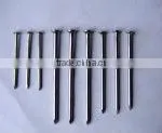common nails