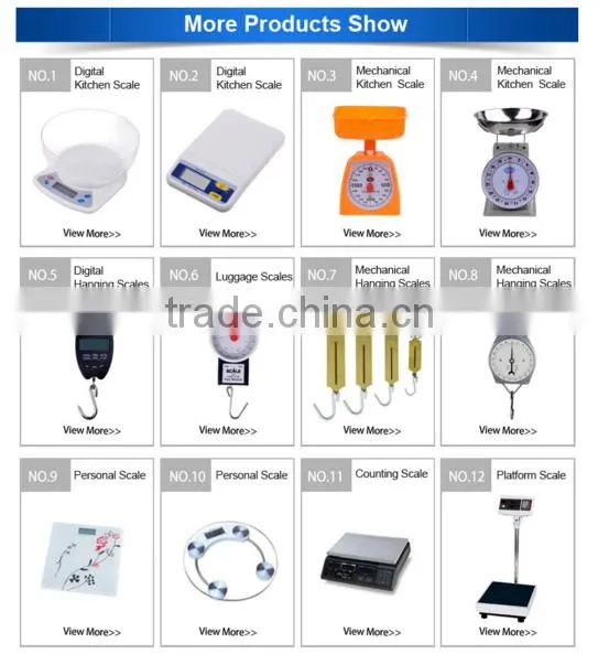 Customizable blue blacklight function digital hanging scale