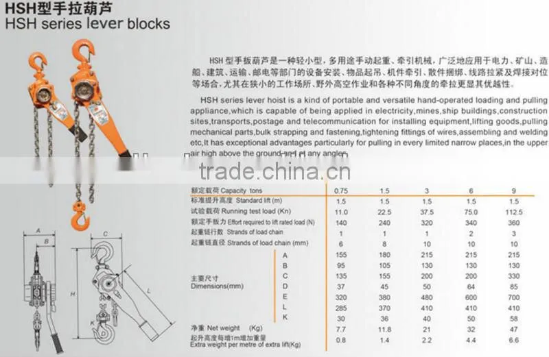 Popular Lifting Machinery 3T 3M Vital Manual Chain hosit