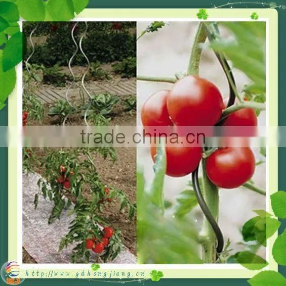 tomato plant spiral support stakes