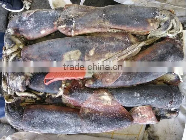 peru squids halal food