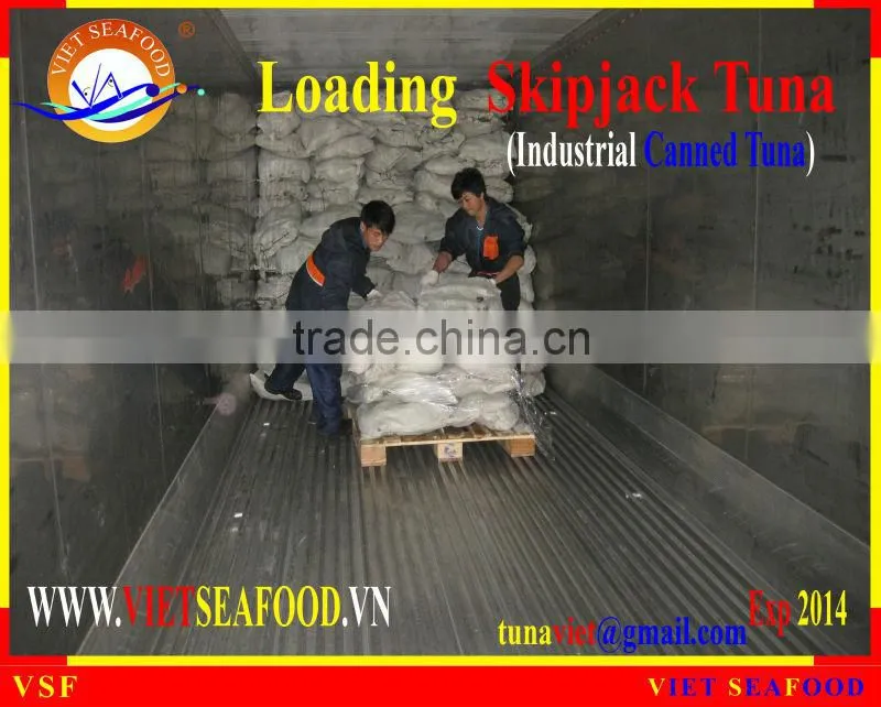 LOADING FROZEN SKIPJACK TUNA W/R