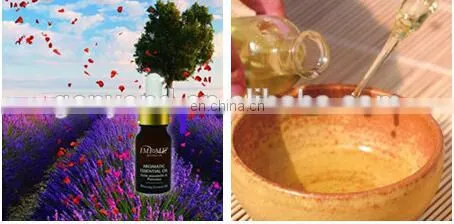 Essential Oil 100% Pure Liquid Citronella Oil extraction machine