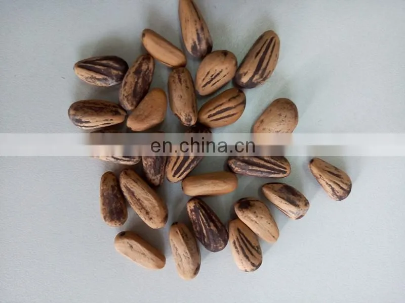 Pine cone processing machine | pine cone nuts sheller /shelling machine/ pinecone peeling machine